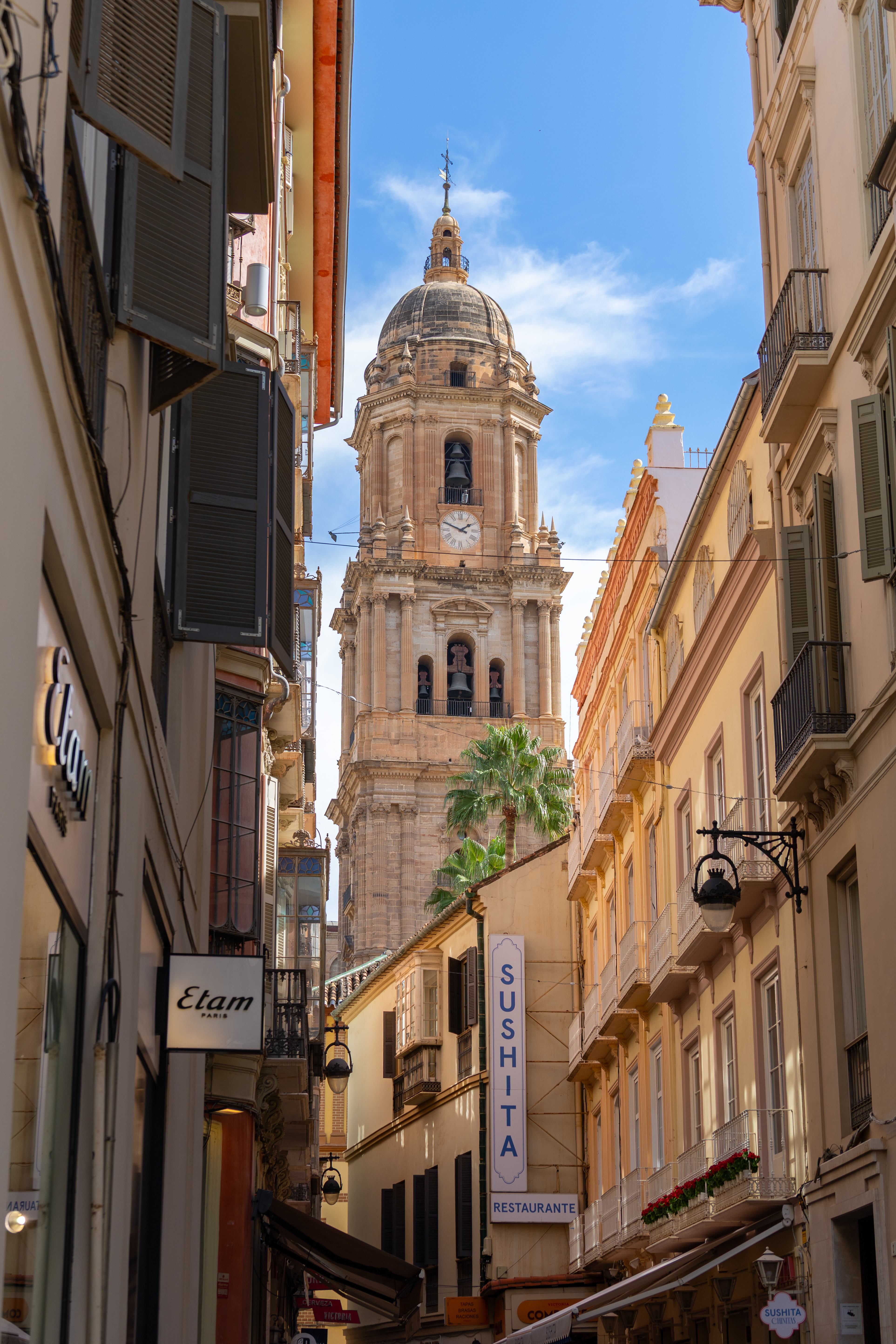 Gasse in der Altstadt von Malaga mit Blick auf den Kirchturm der Kathedrale